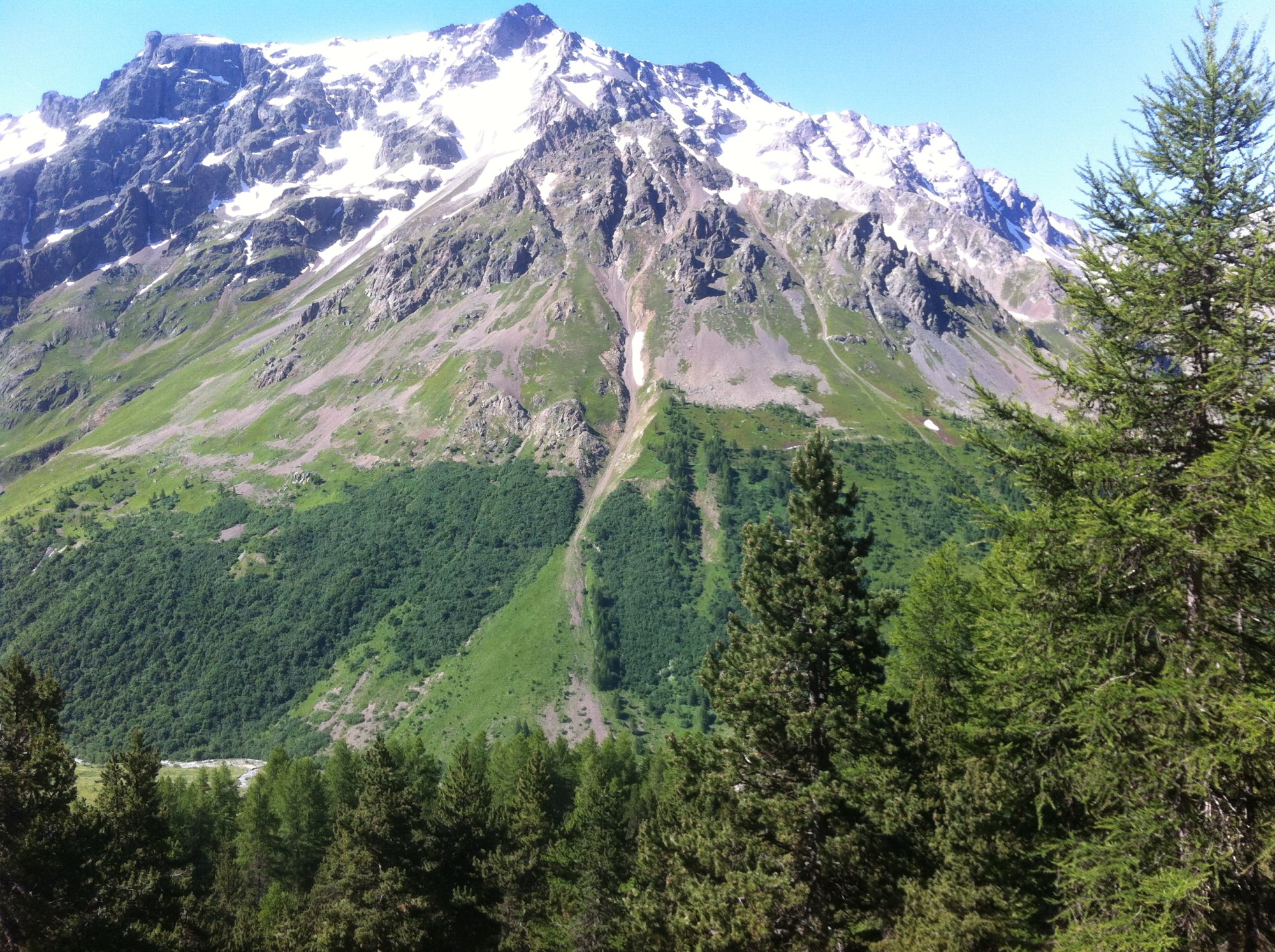 View of a treeline near Lautaret, French Alps